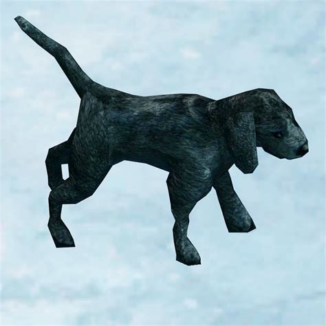 pillars of eternity black hound.